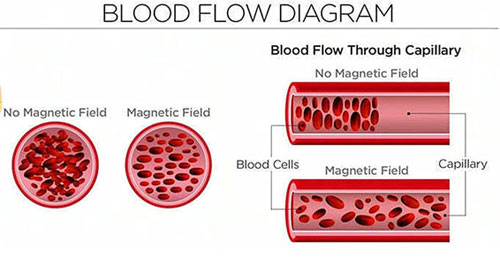 lymph detox magnetic bracelet blood flow